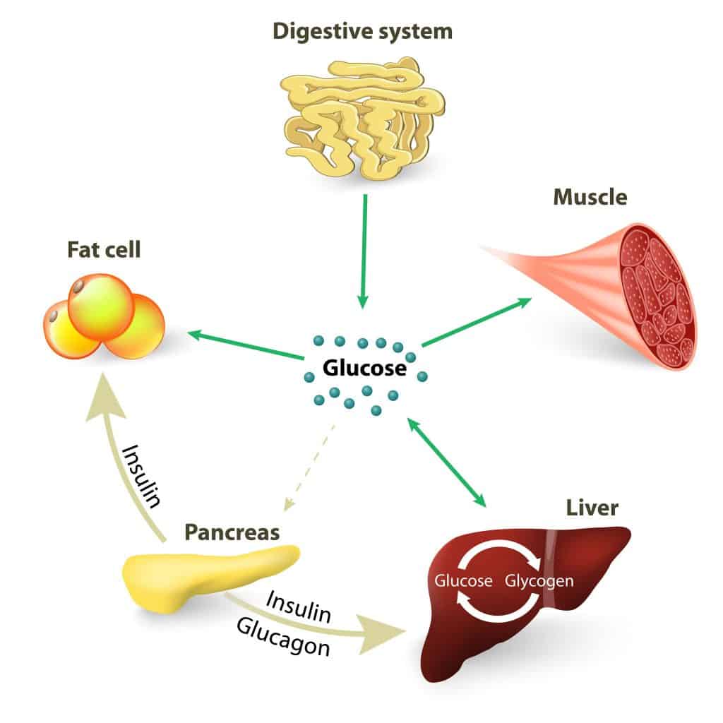 what can cause low blood sugar